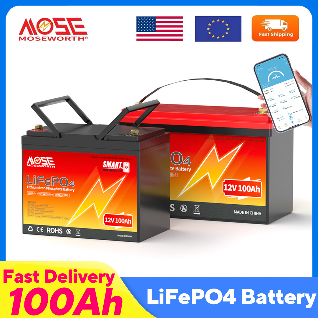 Lifepo4 12V 100Ah Bms Bluetooth - MOSEWORTH LiFePO4 12V 100Ah 배터리 팩