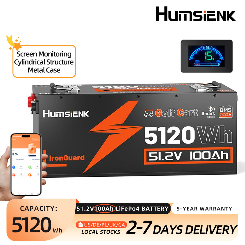 Lifepo4 12V 100Ah Bms Bluetooth - 험시엔크 LiFePO4 배터리 48V 100Ah 골프
